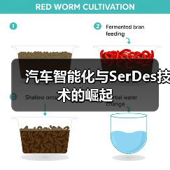 汽车智能化与SerDes技术的崛起（图2）