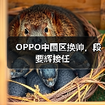OPPO中国区换帅,段要辉接任(图2) OPPO中国区换帅,段要辉接任(图2)
