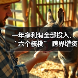 一年净利润全部投入,“六个核桃” 跨界增资长江存储母公司(图2) 一年净利润全部投入,“六个核桃” 跨界增资长江存储母公司(图2)