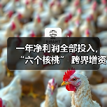 一年净利润全部投入,“六个核桃” 跨界增资长江存储母公司(图3) 一年净利润全部投入,“六个核桃” 跨界增资长江存储母公司(图3)