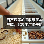 日产汽车加速收缩在华产能,武汉工厂将于明年3月停产(图2) 日产汽车加速收缩在华产能,武汉工厂将于明年3月停产(图2)